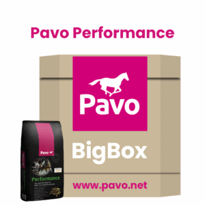 BigBox Pavo Performance