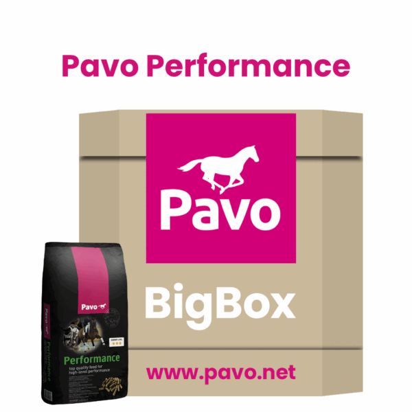 BigBox Pavo Performance